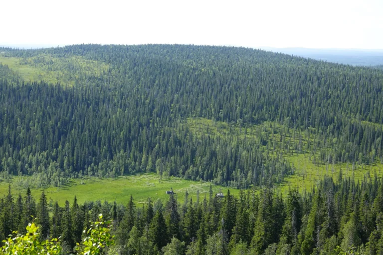 Riisitunturn kansallispuisto