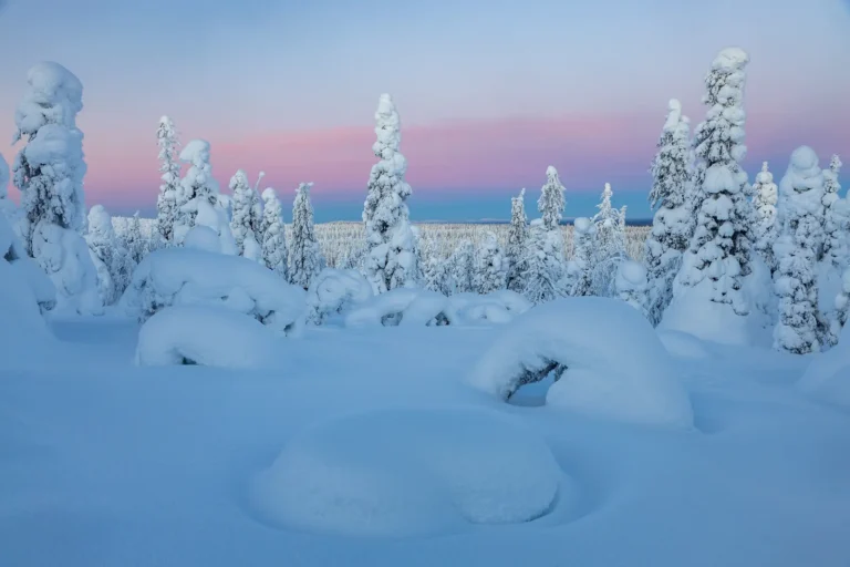 Riisitunturn kansallispuisto